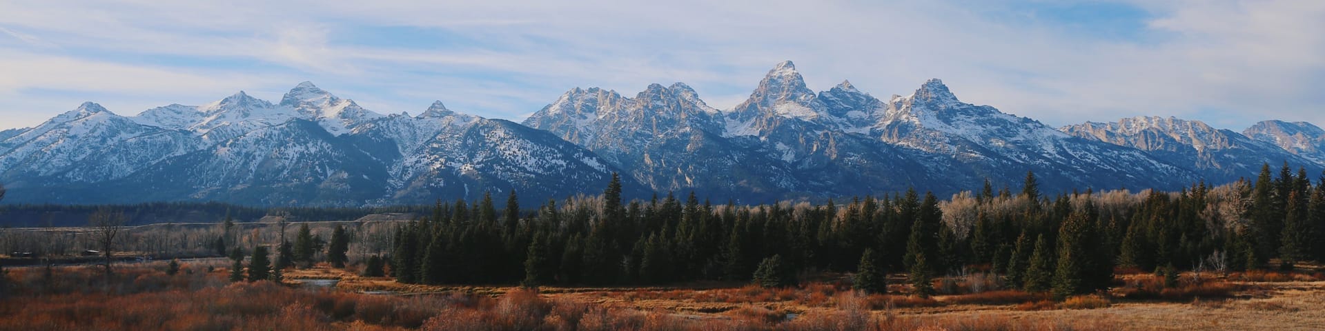 Blog background