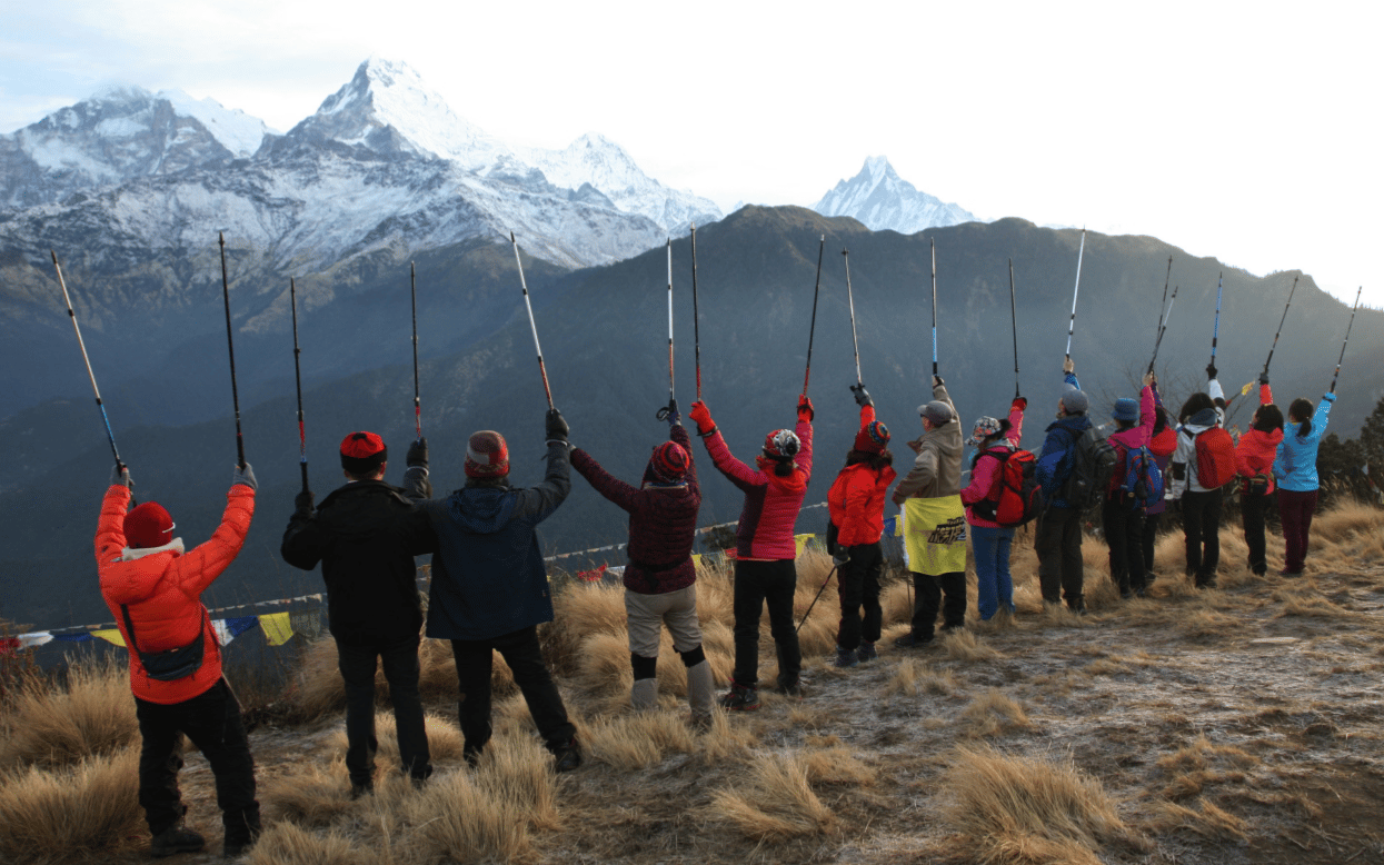 Best Trekking Poles For Hiking And Backpacking