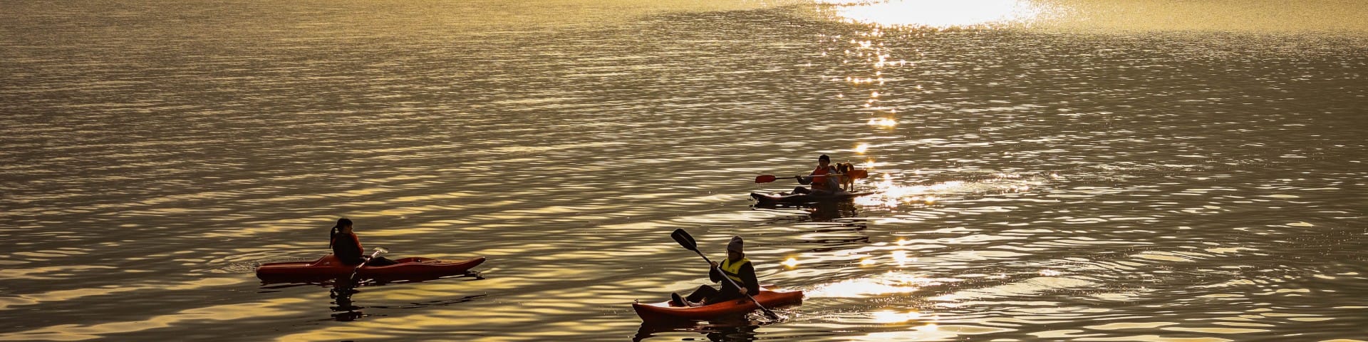 Paddling background